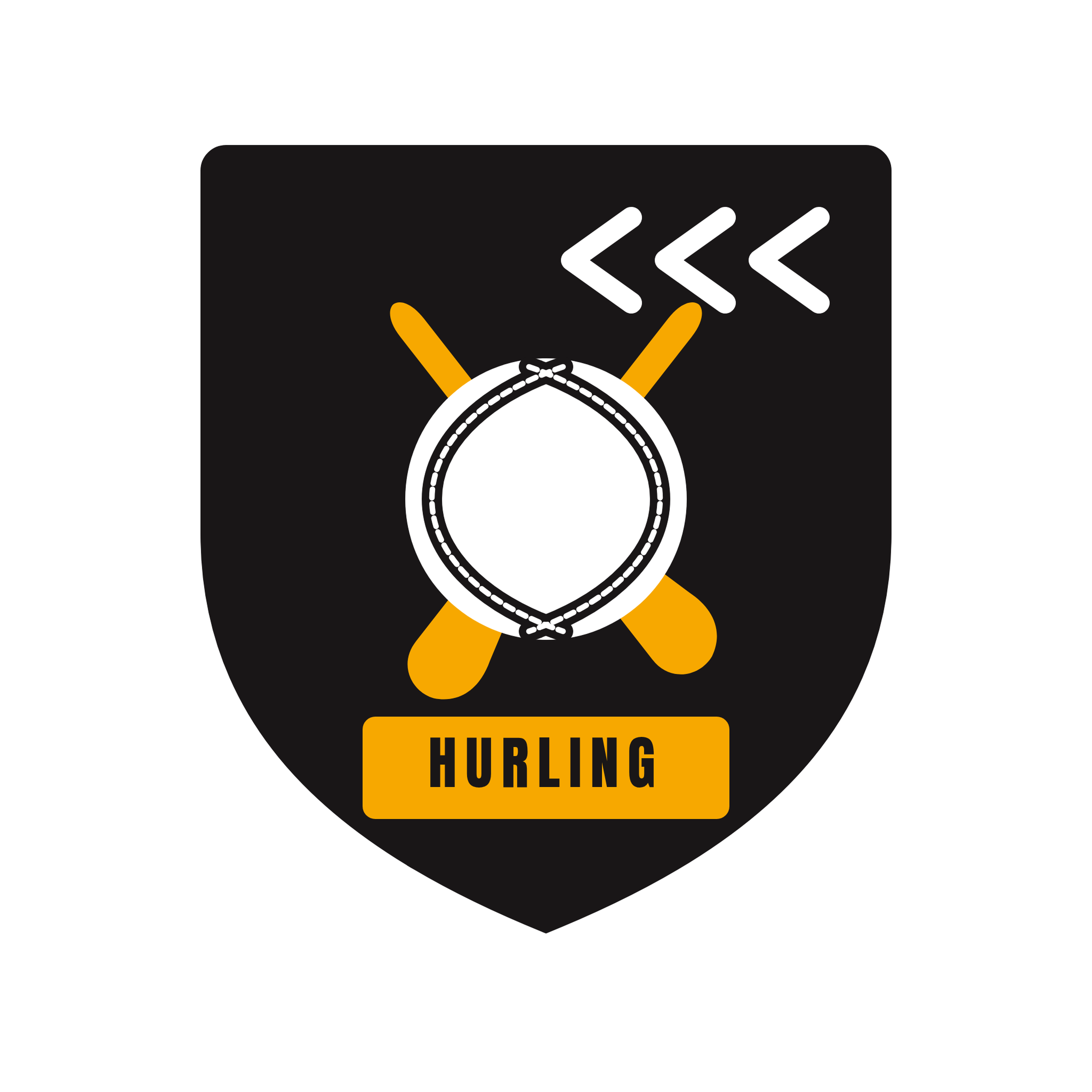 Last Chance Hurling crest